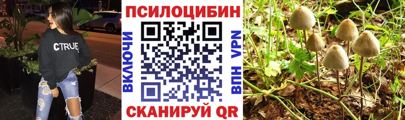KRAKEN ССЫЛКА  закладка  Чудово  Псилоцибиновые грибы прущие грибы 