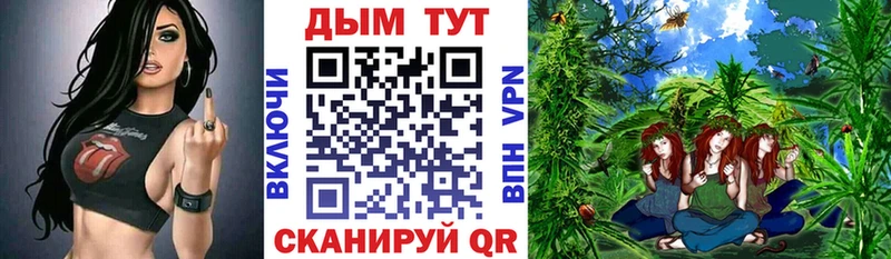 Бошки марихуана Bruce Banner  где найти наркотики  ссылка на мегу вход  Чудово 